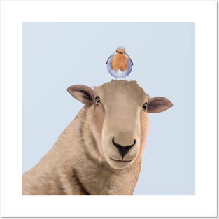 Cute Sheep And American Robin Bird Posters and Art